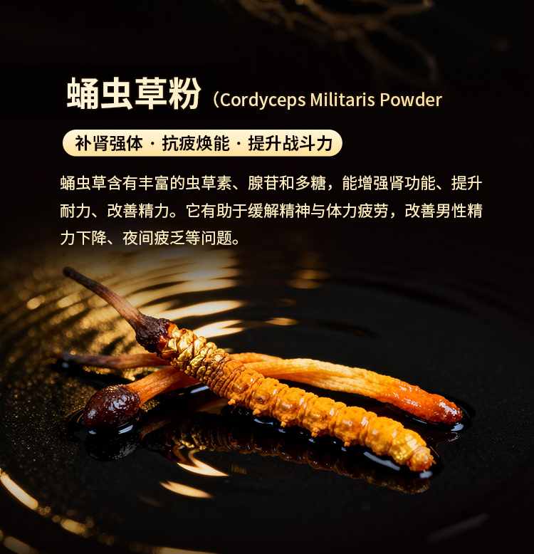 蛹虫草实拍：蛹虫草粉实物